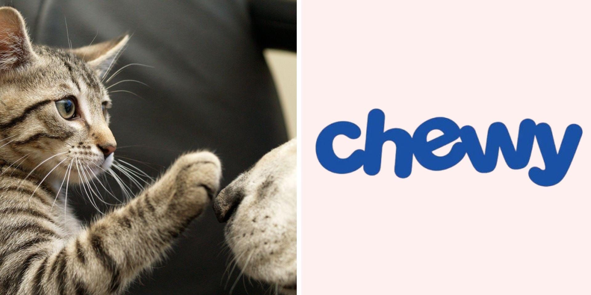 Melhor promoções e cupons para economizar na Chewy. Reprodução: Business Insider