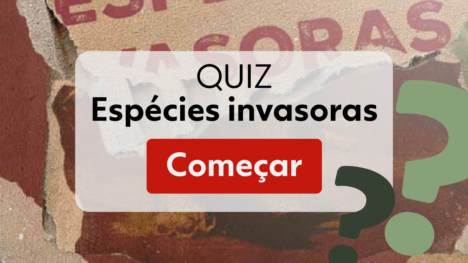 Tilápia, peixe nativo da África, causa impactos negativos nos biomas brasileiros. Reprodução: Globo