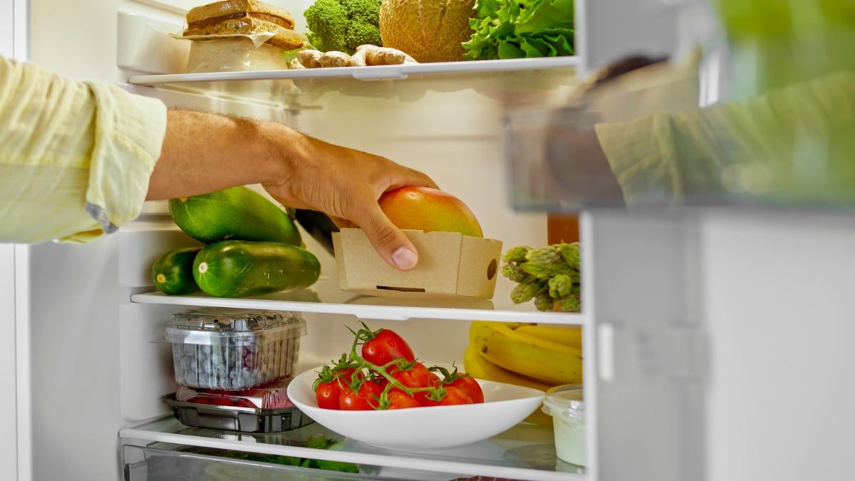 Dicas para conservar frutas e verduras frescas na geladeira com o uso de uma esterinha de poliuretano. Legenda da imagem. Reprodução: El País
