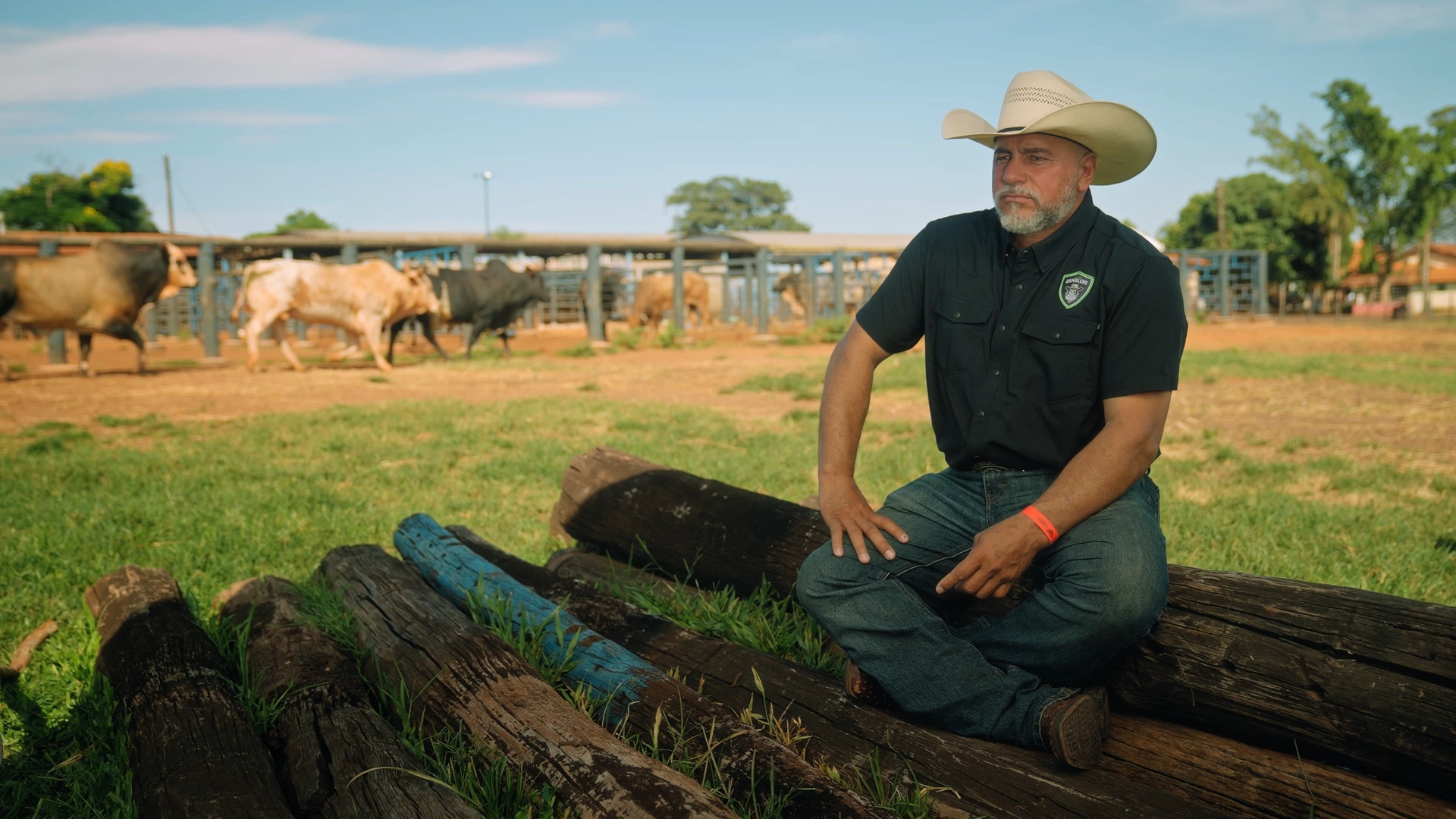 Touros atletas mostram a montaria no rodeio, tema da nova série Vida de Rodeio. Reprodução: Retorno do item 11