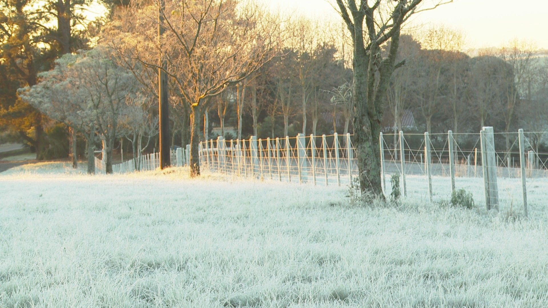 Registro do frio intenso em Passo Fundo, Rio Grande do Sul, com mínimas ameaçando -5°C. Reprodução: RBS TV