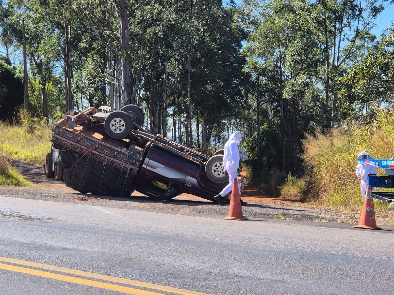 Caminhonete carregada com abelhas capota na BR-262, mas motoristas não se ferem. Reprodução: Globo