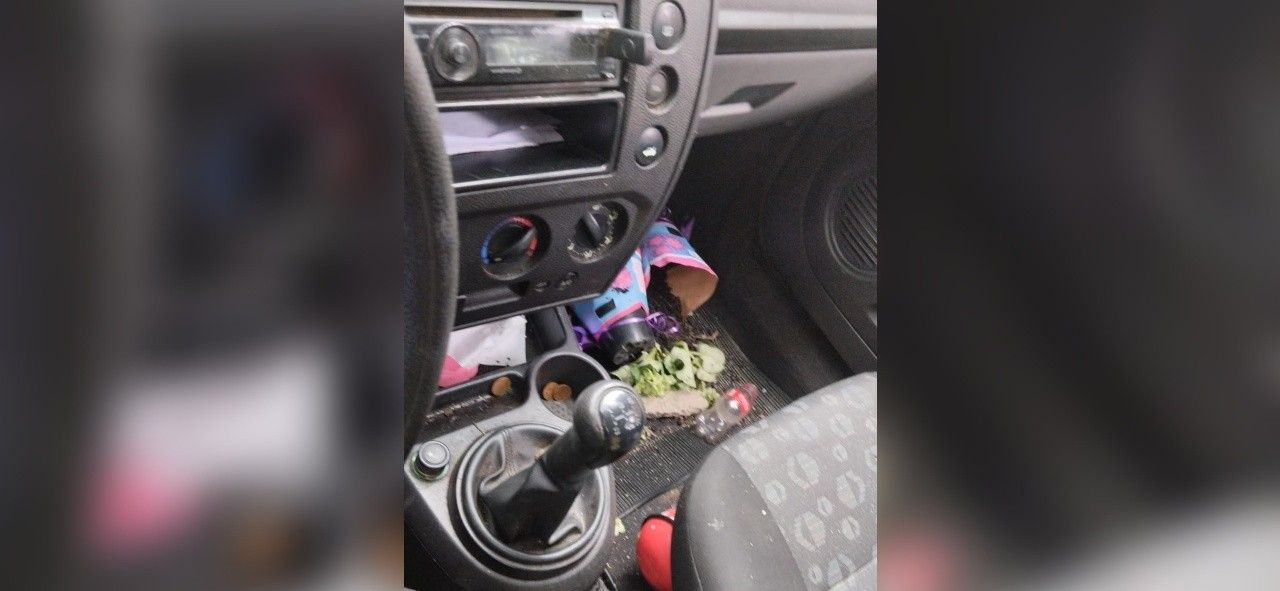 Homem perde o controle ao tentar salvar flores e bate em muro em Araçatuba. Reprodução: Globo