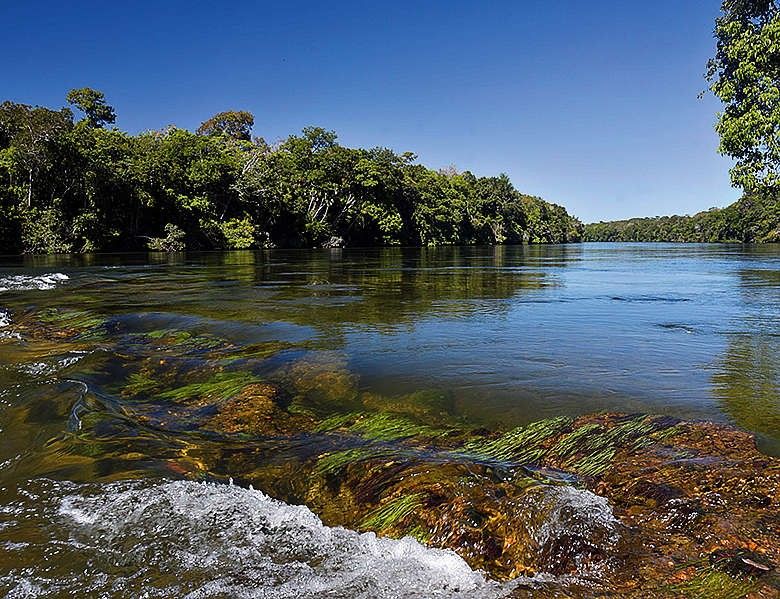 [Indígenas Manoki aparecem em meio à discussão sobre demarcações de terras no STF]. Reprodução: Oglobo