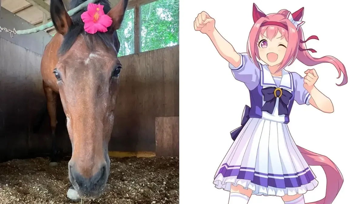 Fãs de Umamusume enviam toneladas de grama para a cavala Haru Urara. Reprodução: GosuGamers