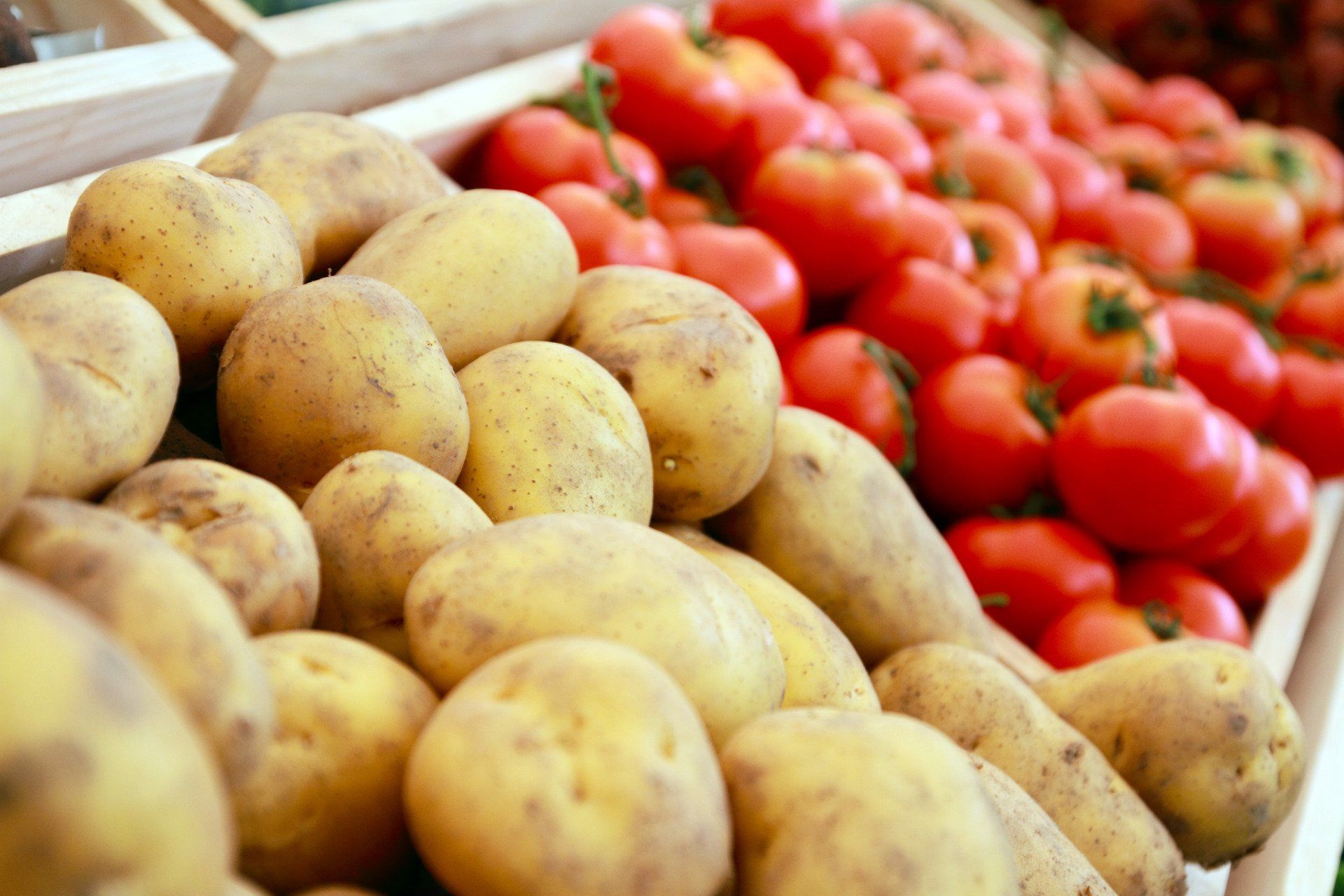 Batatas e tomates em um mercado, ressaltando a importância dos alimentos. Reprodução: Gizmodo