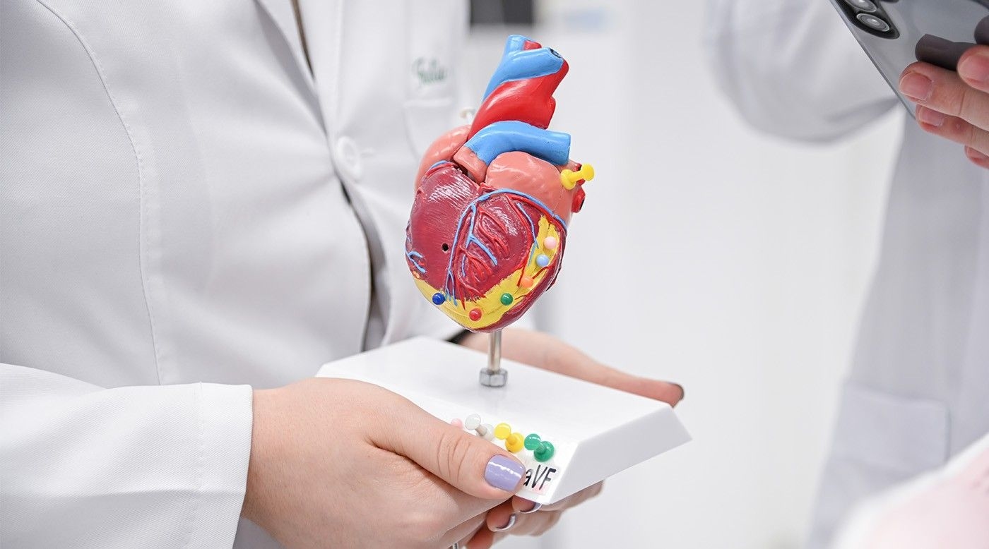 Sinais do coração: identifique sintomas e procure atendimento. Reprodução: Retorno do item 11