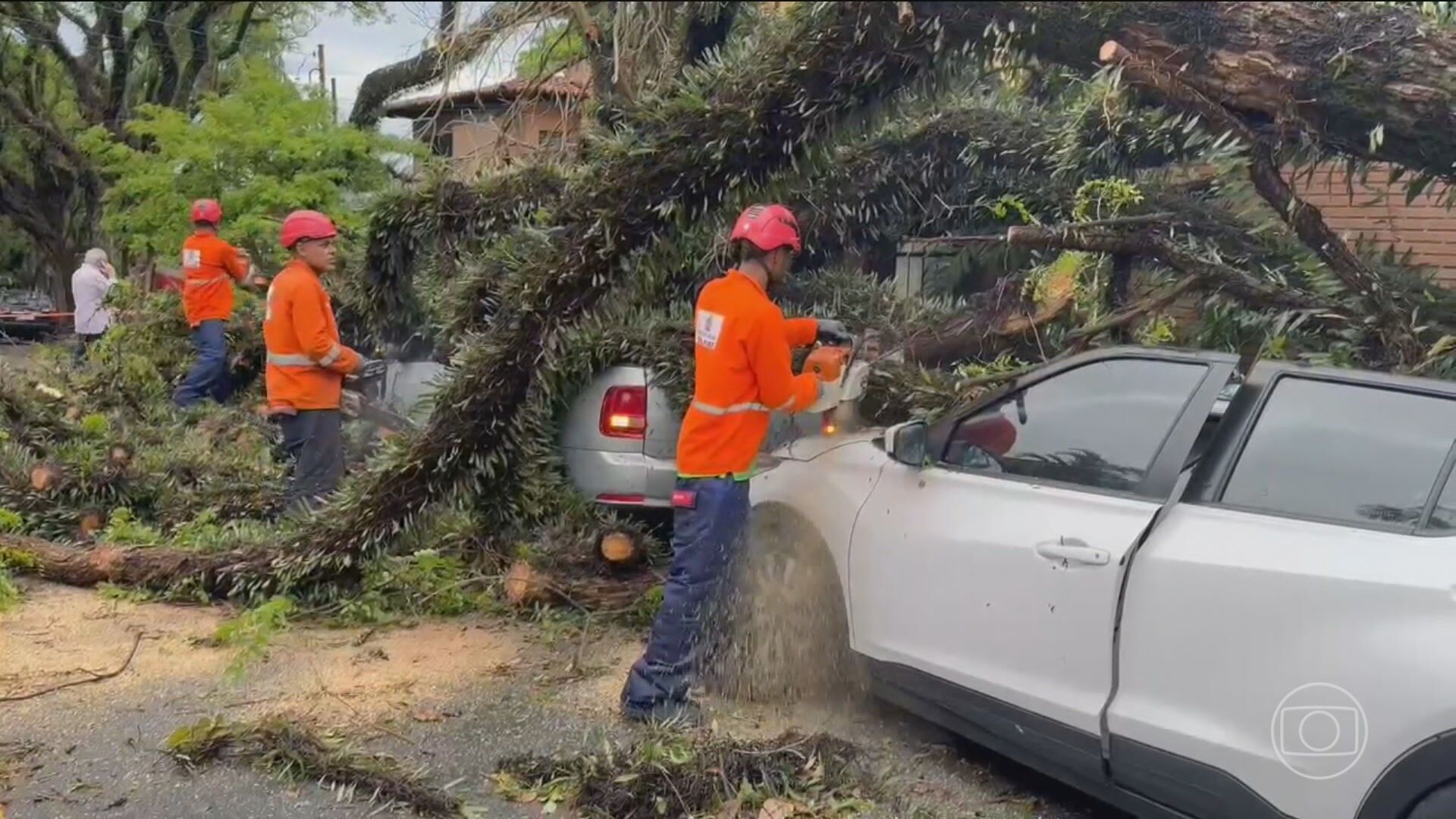 Vendaval histórico atinge SP sem chuva e persiste por mais de 12 horas. Reprodução: G1