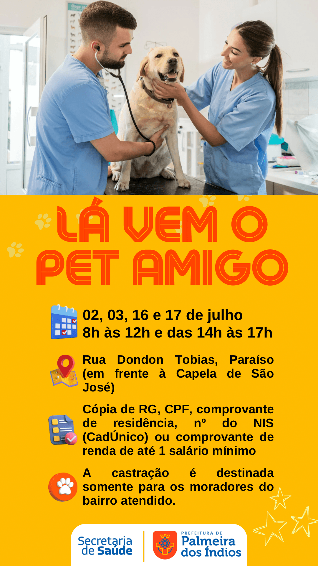 Retorno do Programa Pet Amigo em Palmeira dos Índios com atendimentos de castração. Reprodução: Assessoria