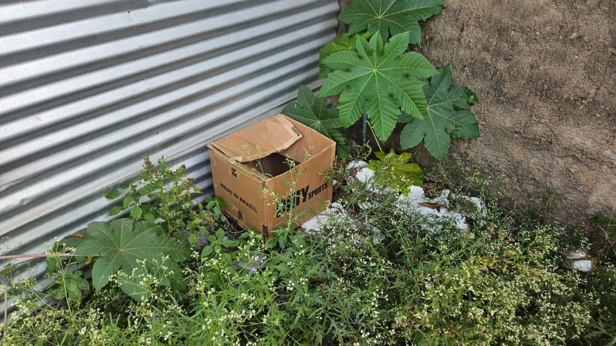 Bebê recém-nascido é encontrado dentro de caixa de papelão em Formiga. Reprodução: Globo