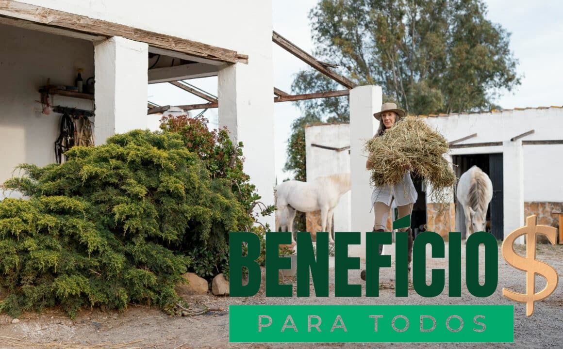 Desenrola Rural fortalece agricultura familiar no Brasil