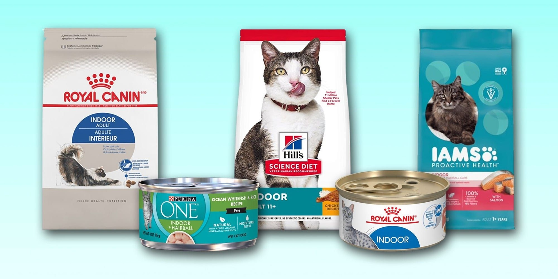 Diversas marcas de ração para gatos domésticos são recomendadas para atender às necessidades nutricionais dos felinos.; Reprodução: Business Insider