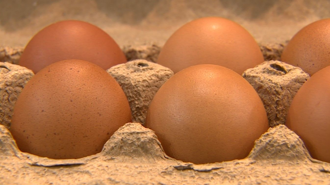 Aumento Surpreendente: Preço dos Ovos Cresce 20%