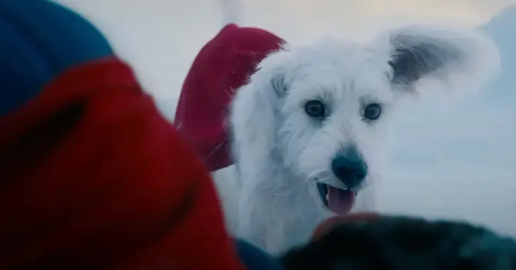 Adoção de cães aumenta 513% nos EUA após estreia de Superman com Krypto.; Legenda da imagem. Reprodução: Legião dos Heróis