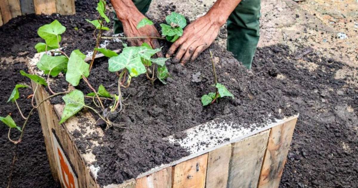 DMLU Avança em Conscientização Ambiental em Porto Alegre