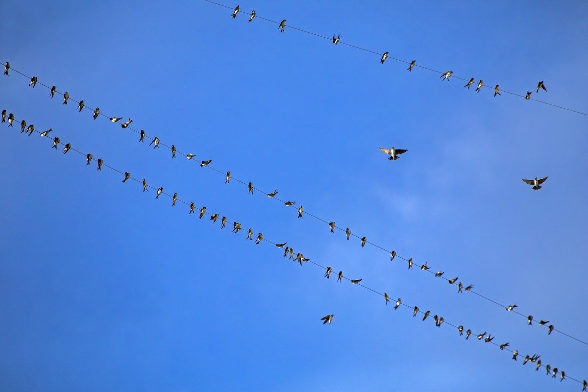 AT Protocol e a Revolução das Redes Sociais Decentralizadas