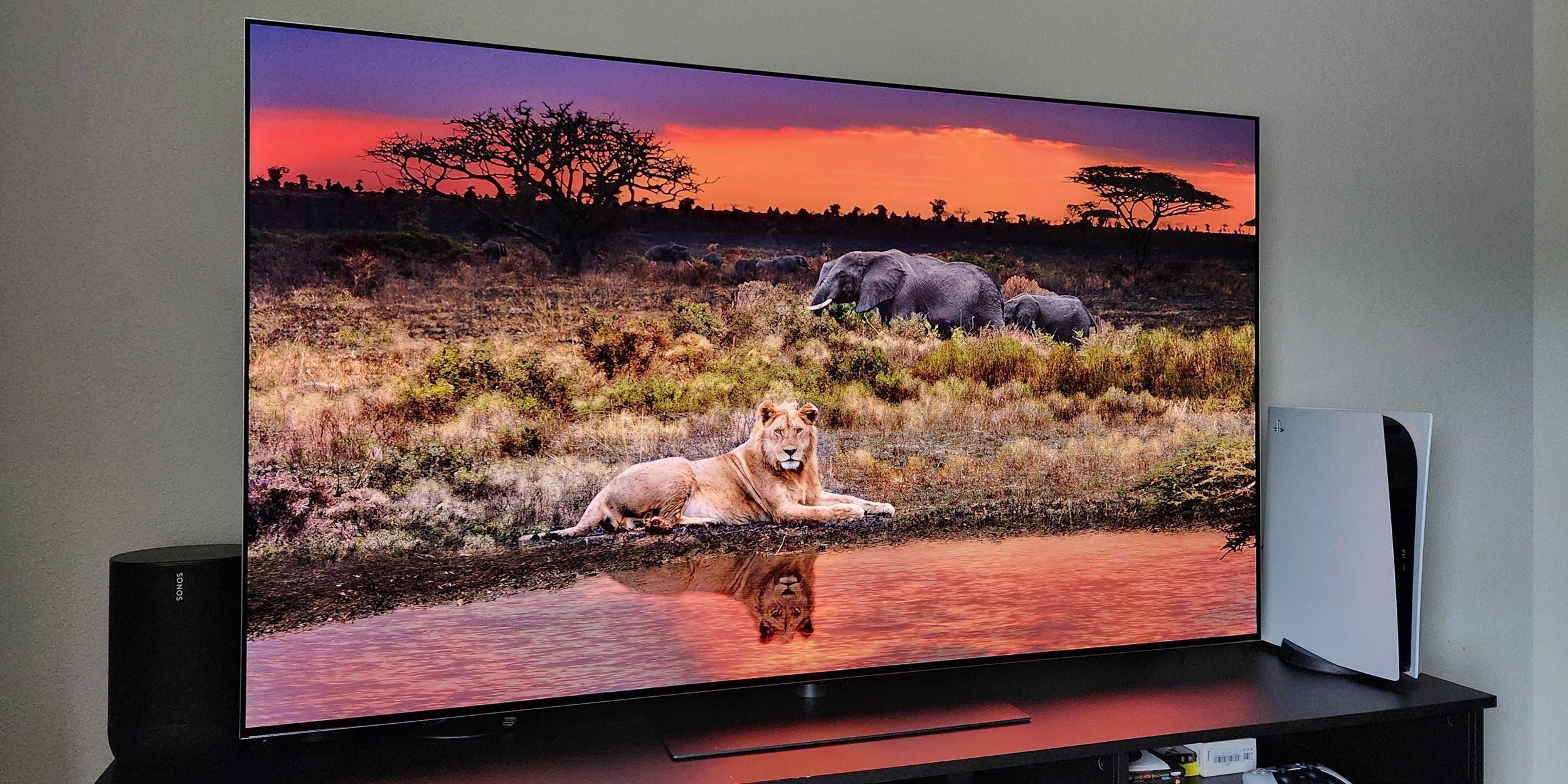 LG destaca seus melhores modelos de TV, incluindo a C4 OLED e a G5, por qualidade excepcional. Reprodução: Business Insider
