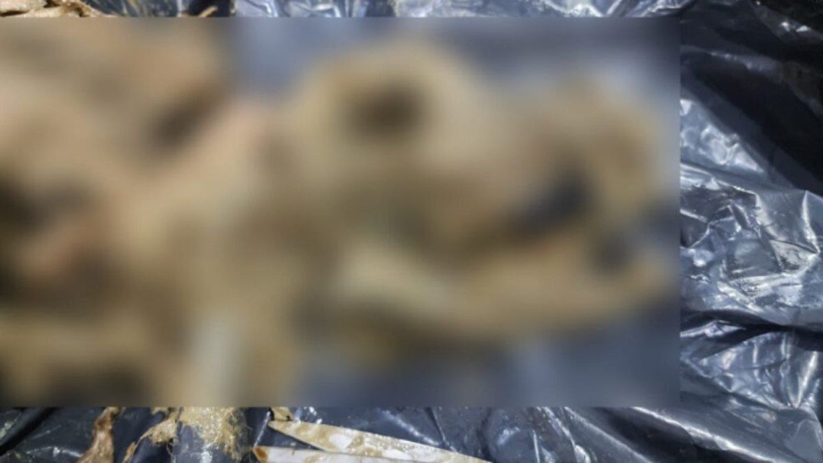 Linchamento em Acre: Boato Mortal Sobre Morte de Bebê