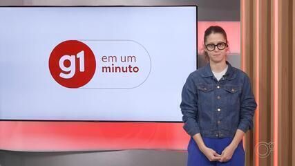 Mães de Sorocaba mudam de profissão para cuidar dos filhos com autismo e TDAH. Reprodução: g1