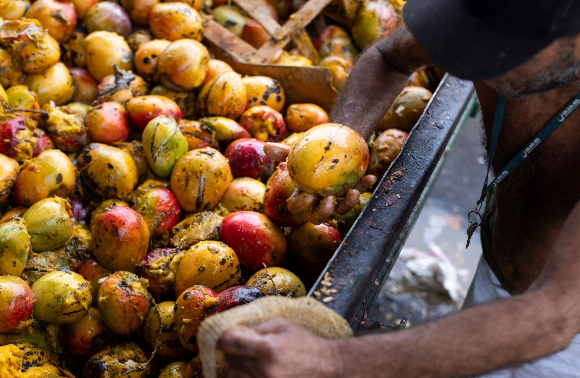 Governo Lula cria indicador para identificar famílias em insegurança alimentar no Brasil. Reprodução: Globo