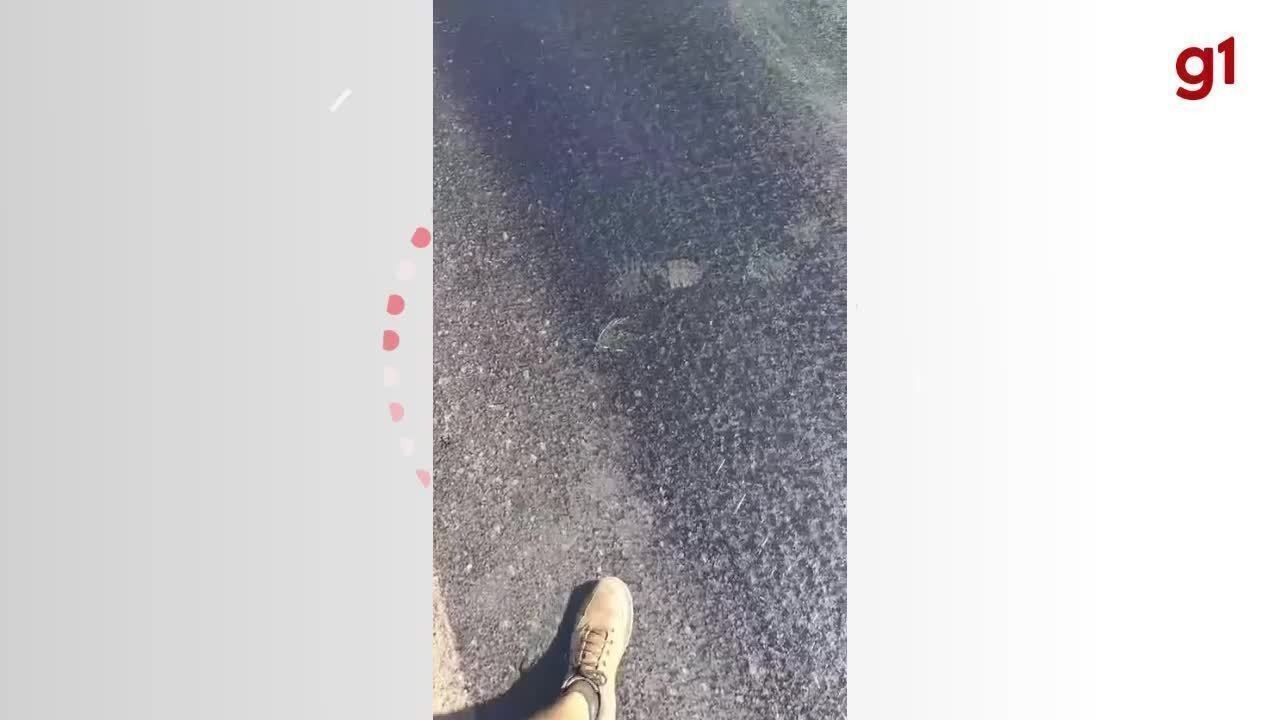 Onda de Calor Derrete Asfalto em Maracajá SC