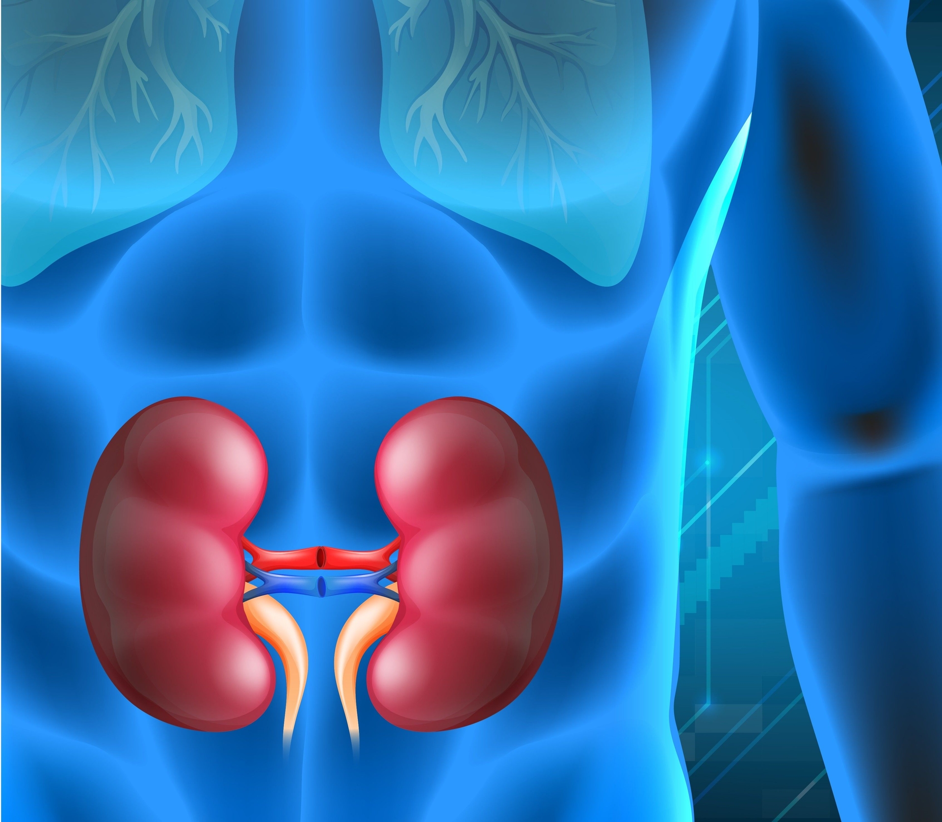 Pesquisadores da Uece desenvolvem solução de água de coco para preservação de órgãos e redução de custos nos transplantes.; Reprodução: Globo