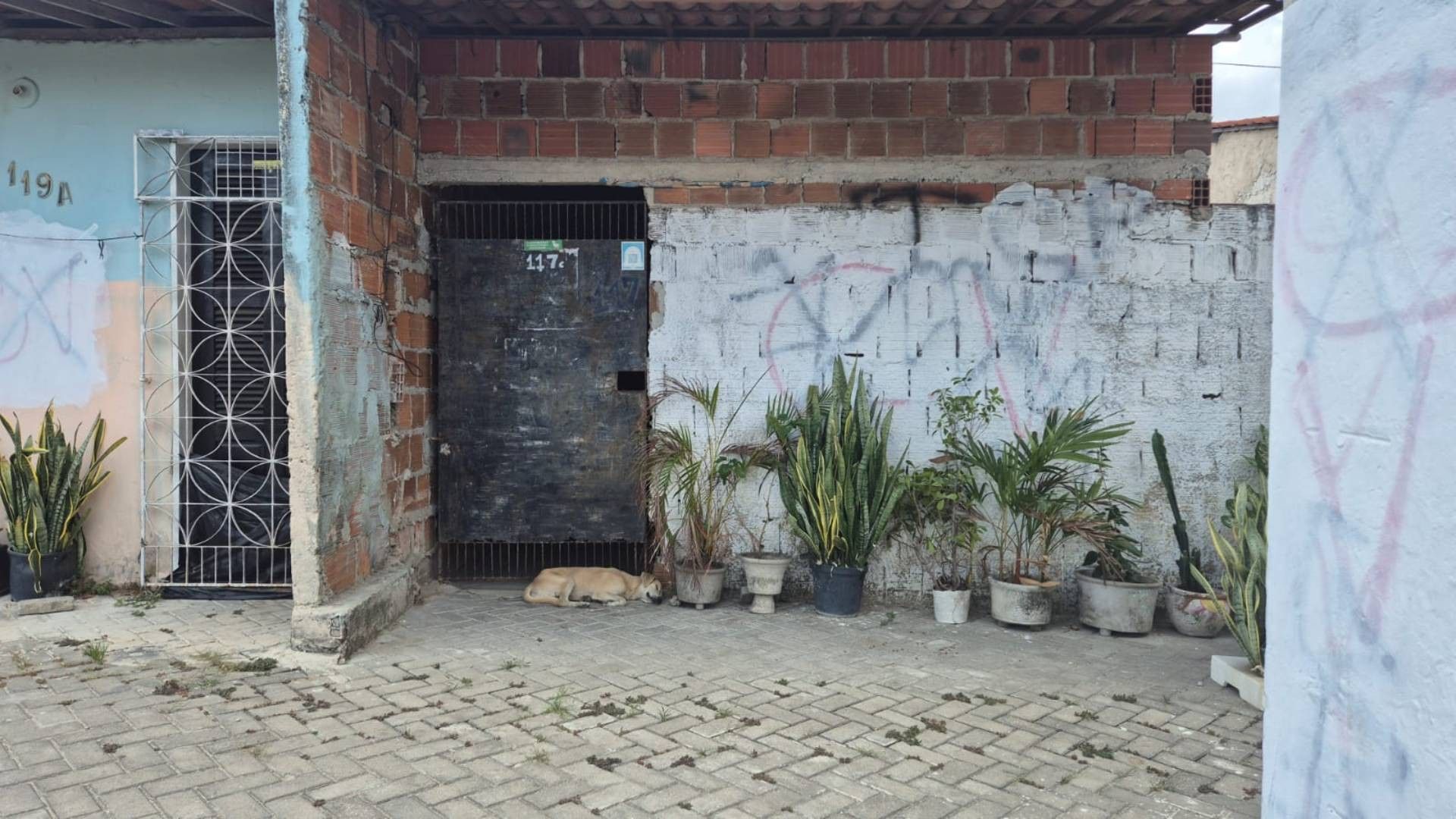 Facção picha símbolos rivais na comunidade Jacarezal, Pacatuba (CE). Legenda da imagem. Reprodução: Globo