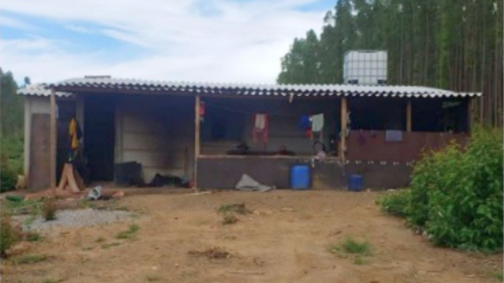 MG: fazendeiro é denunciado por trabalho escravo; trabalhadores comiam milho para sobreviver, diz MPF.. Reprodução: G1