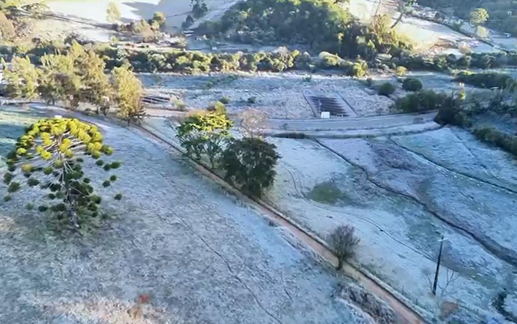 Geada é prevista em Maria da Fé (MG) devido à nova onda de frio no Centro-Sul. Reprodução: Globo