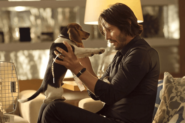 A Origem da Vingança em John Wick