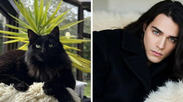 Surpreendente revelação sobre novos personagens que não lembram Nina Tucker. Reprodução: IGN Brasil