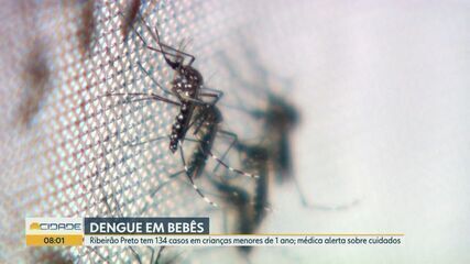 Ribeirão Preto registra 134 casos de dengue em crianças menores de 1 ano. Reprodução: EPTV