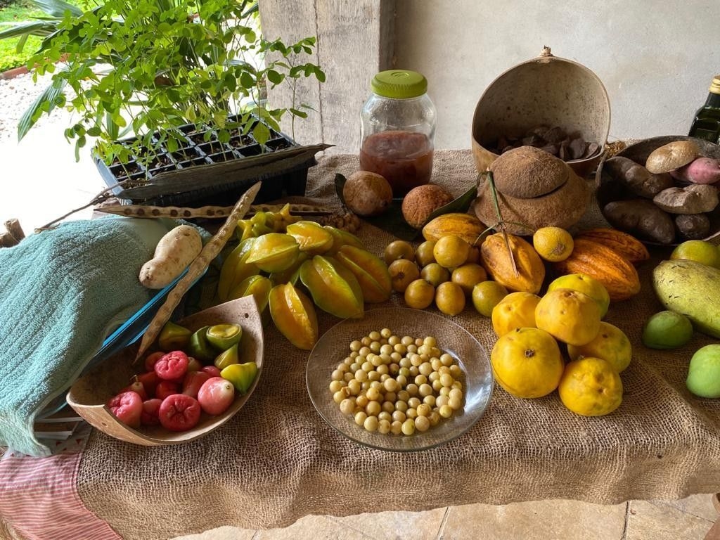 A COP 30 garantirá 30% de alimentos da agricultura familiar para o evento. Legenda da imagem. Reprodução: Globo.