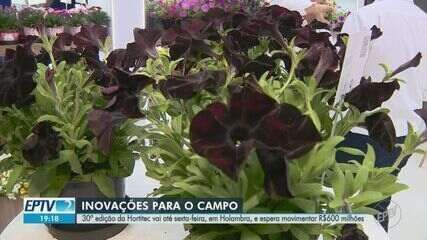 Destaques da 30ª Hortitec em Holambra incluem o melão Orange Candy e o milho doce consumido cru. Reprodução: Globo