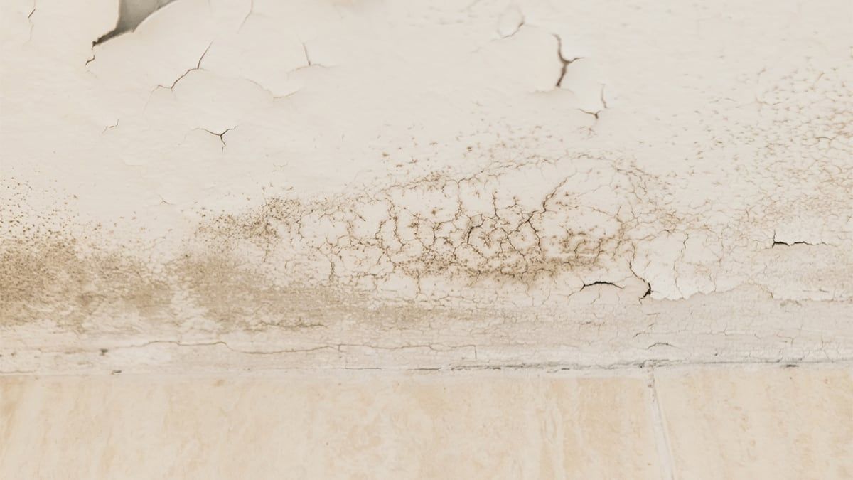 Produto eficaz no combate à umidade em ambientes fechados. Reprodução: El País