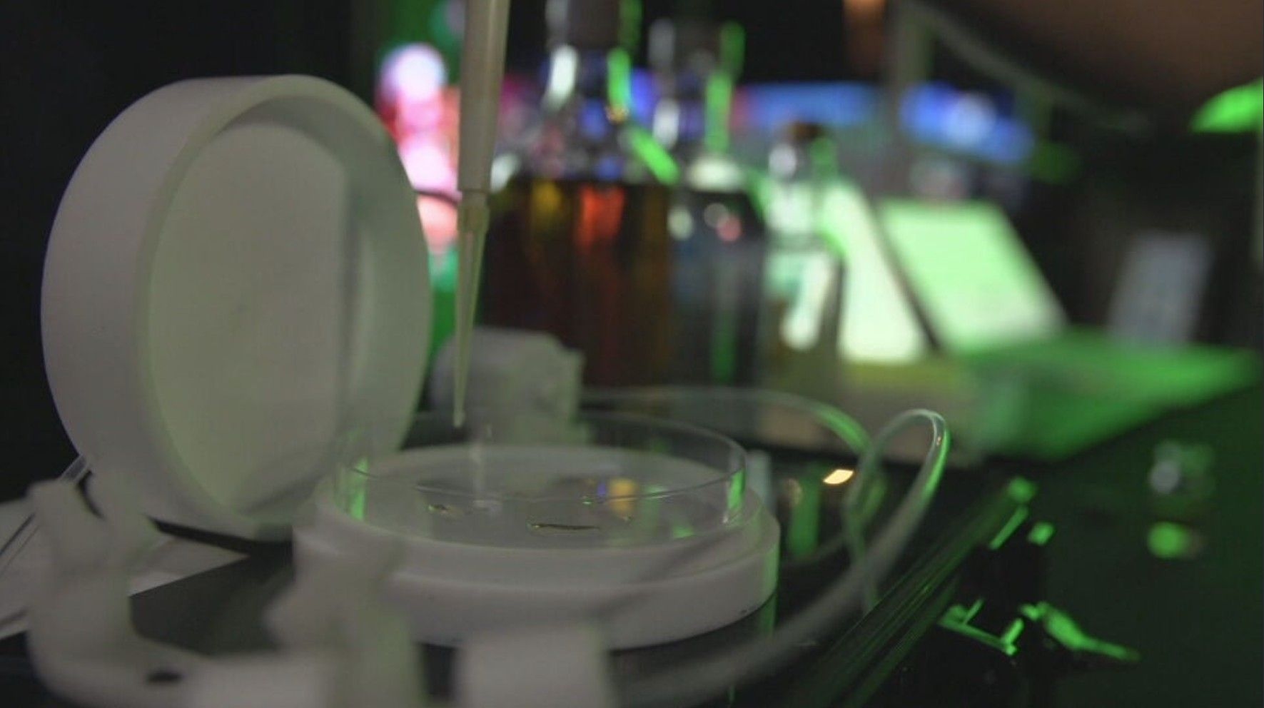 Nariz eletrônico inteligente apresentado no REC’n’Play 2025 identifica metanol e garante a qualidade de bebidas e alimentos. Legenda da imagem. Reprodução: Retorno do item 11