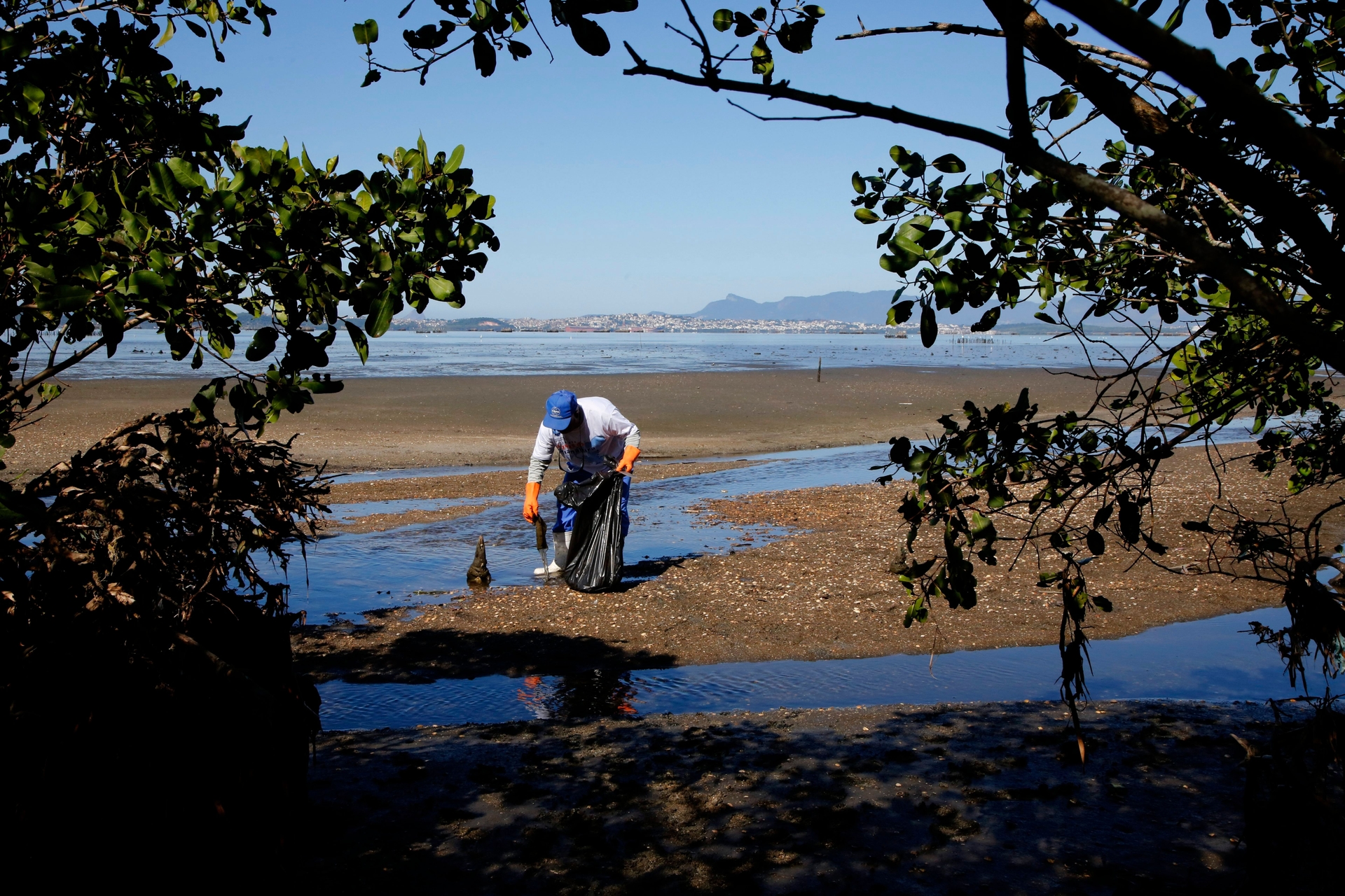 Reflorestamento na Baía de Guanabara não basta para conter o aquecimento global. Legenda da imagem. Reprodução: O Globo