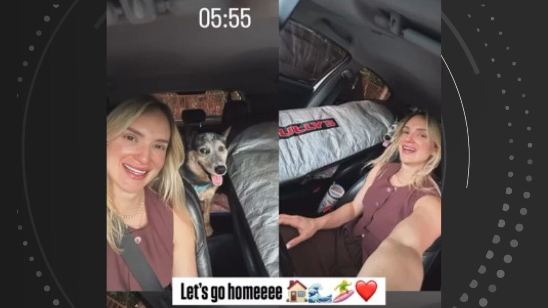 Engenheira que morreu em acidente postou fotos com o cão horas antes.. Reprodução: G1