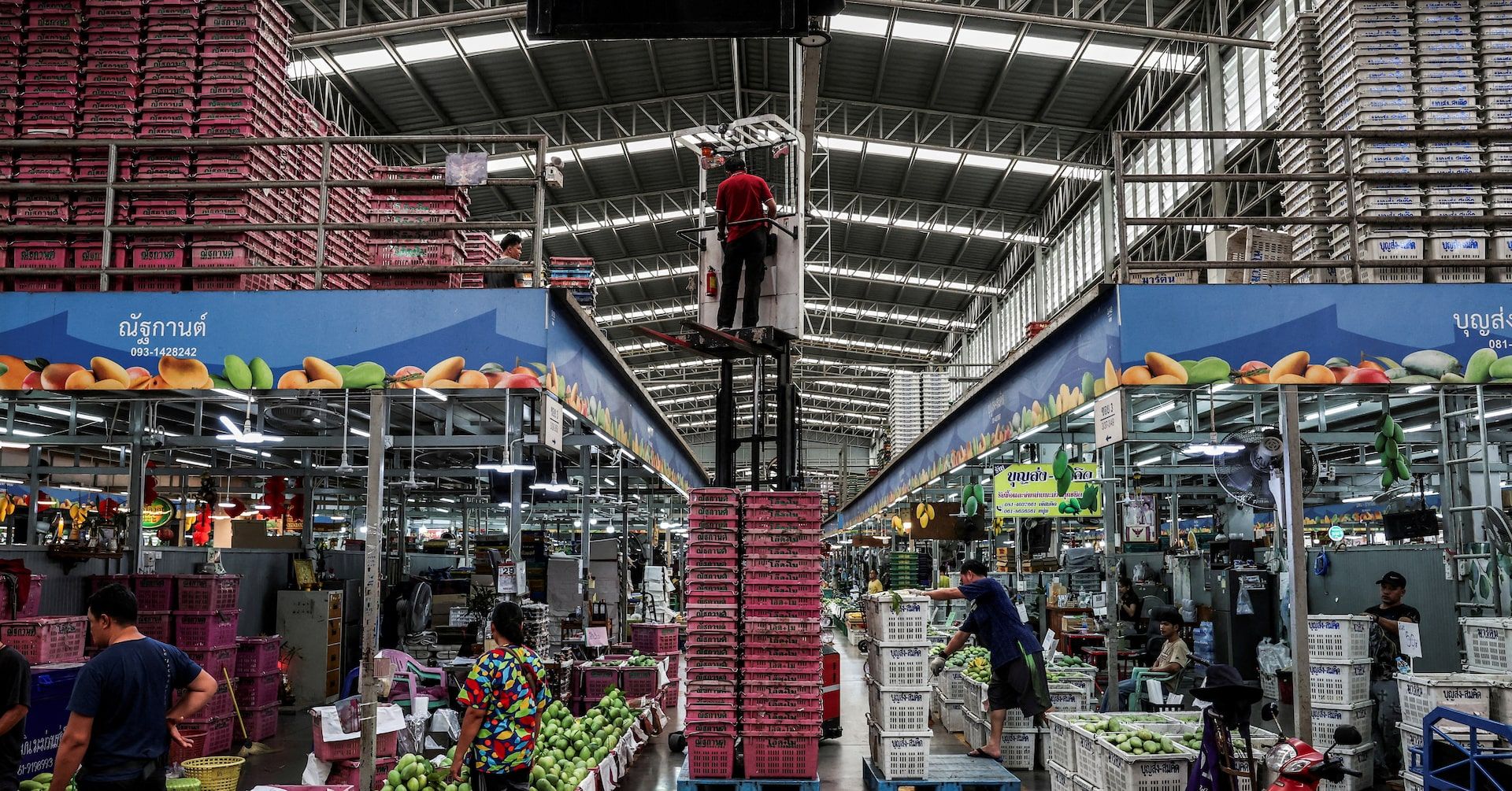 Agricultora tailandesa Daeng Donsingha expressa preocupação com a queda dos preços do arroz. Reprodução: Reuters