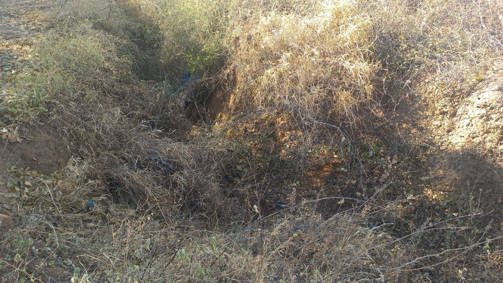 Corpo de criança é encontrado em vala; irmão mais velho é suspeito do crime. Reprodução: Globo