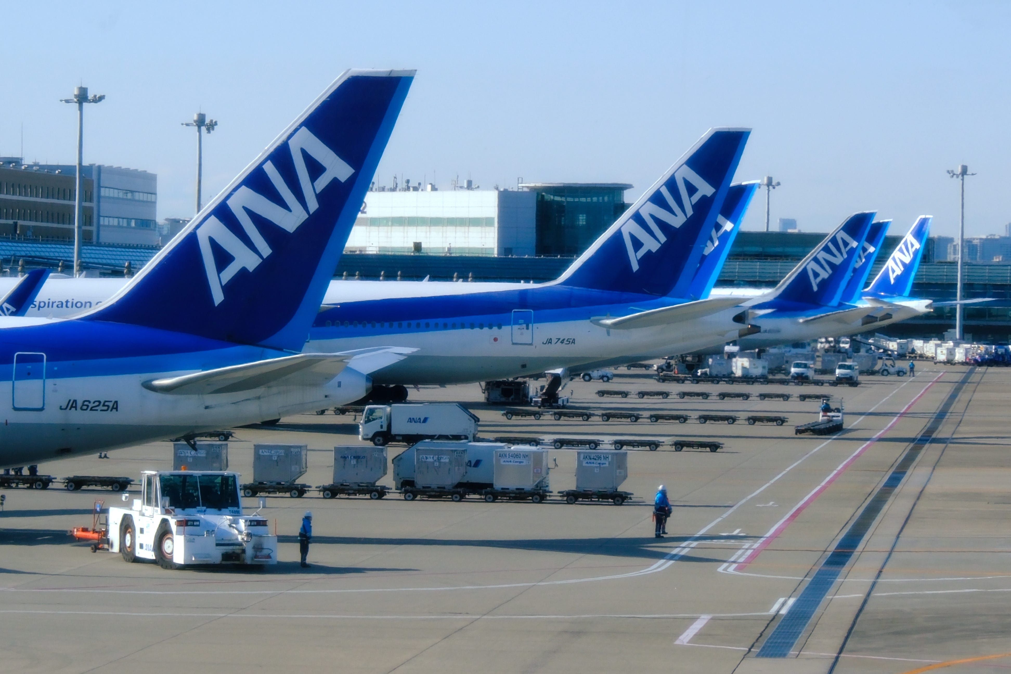 Avião da ANA é desviado para Seattle após passageiro tentar abrir porta durante o voo. Reprodução: Business Insider