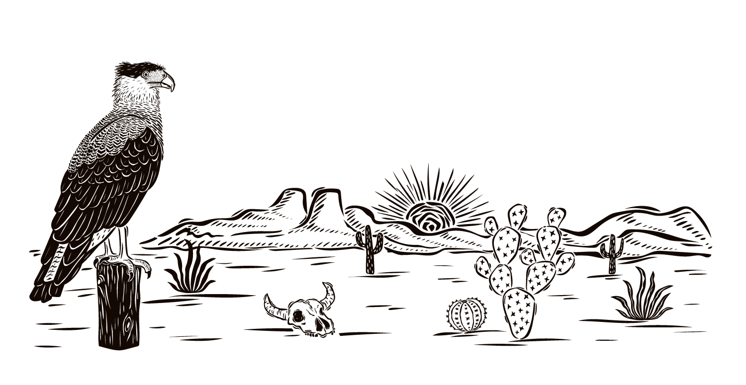 Rosa e Josué, protagonistas de 'Guerreiros do Sol', enfrentam amor e conflitos no Sertão.; Legenda da imagem. Reprodução: Globo