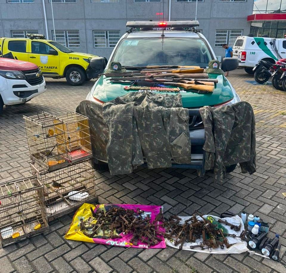 Homem é preso em Alagoas por posse ilegal de armas e manutenção de aves silvestres. Reprodução: Redação*