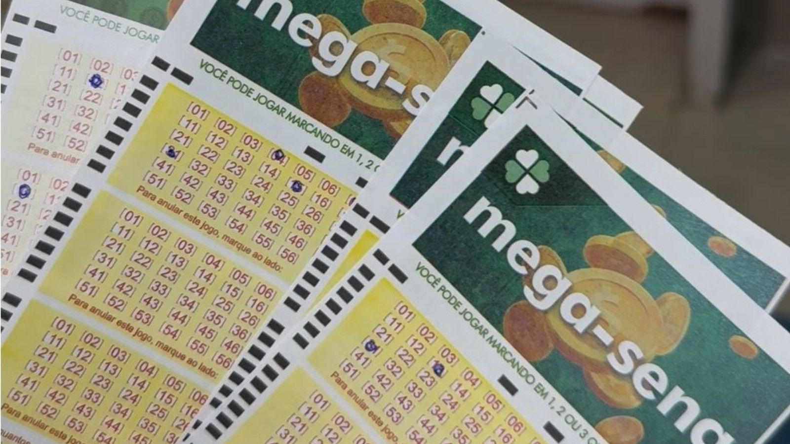 Sete apostas do Paraná acertaram cinco números na Mega-Sena e ganharam prêmios. Reprodução: Ana Lídia Araújo/g1