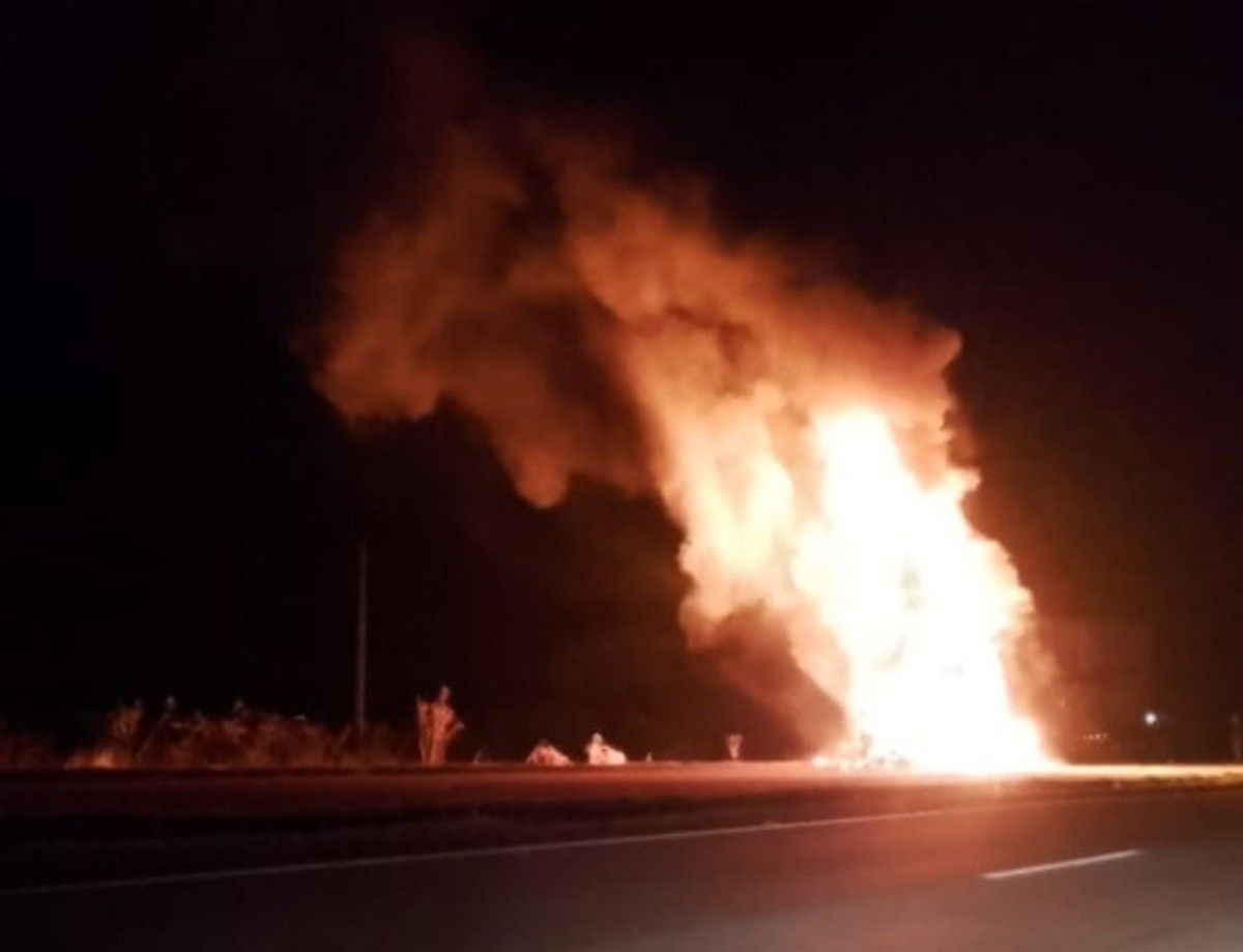 Caminhão pegou fogo na BR-040 com 53 bois em Barbacena; motorista não se feriu. Reprodução: Globo