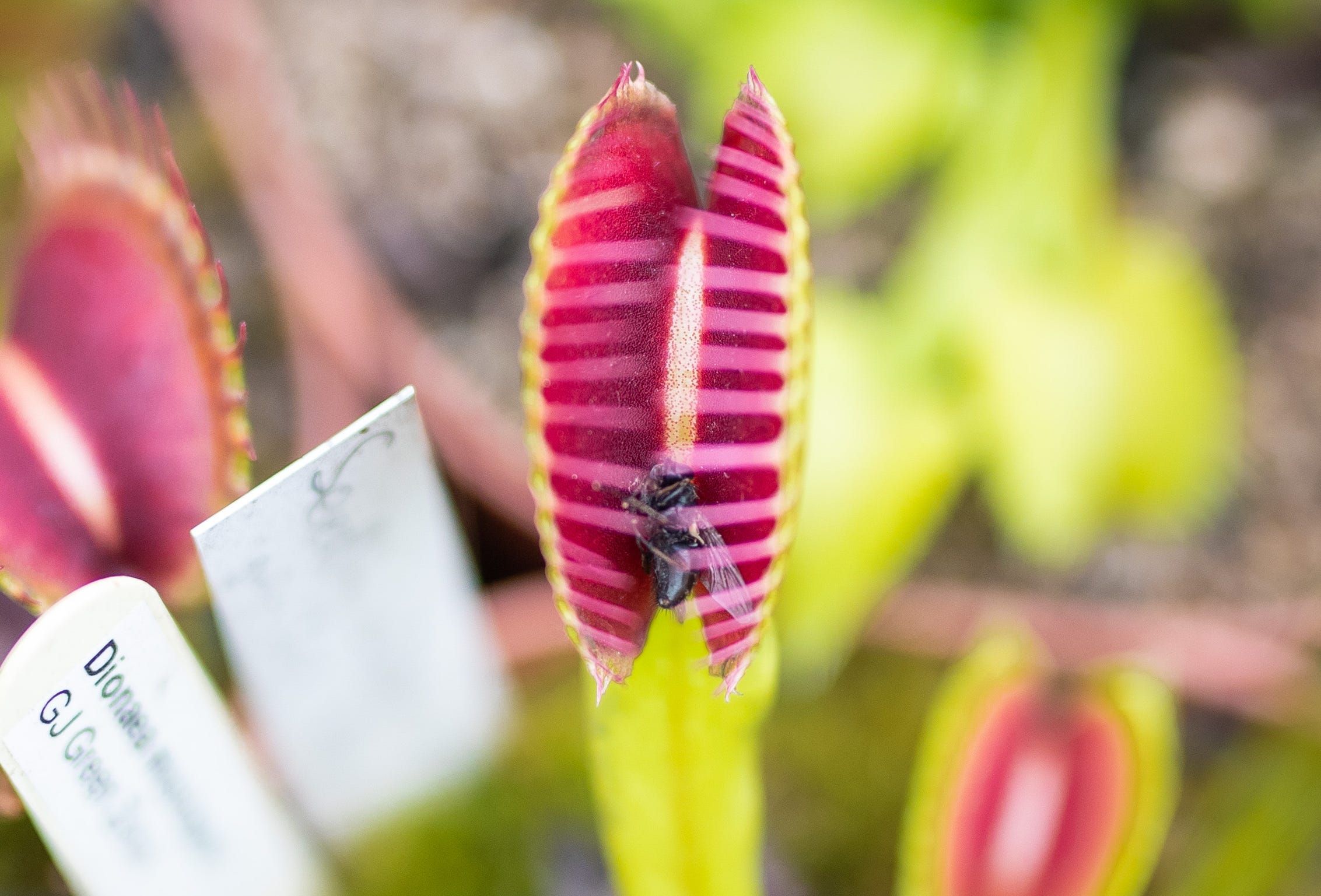 Cloudflare denuncia Perplexity por práticas de raspagem de dados não autorizadas. Reprodução: Business Insider