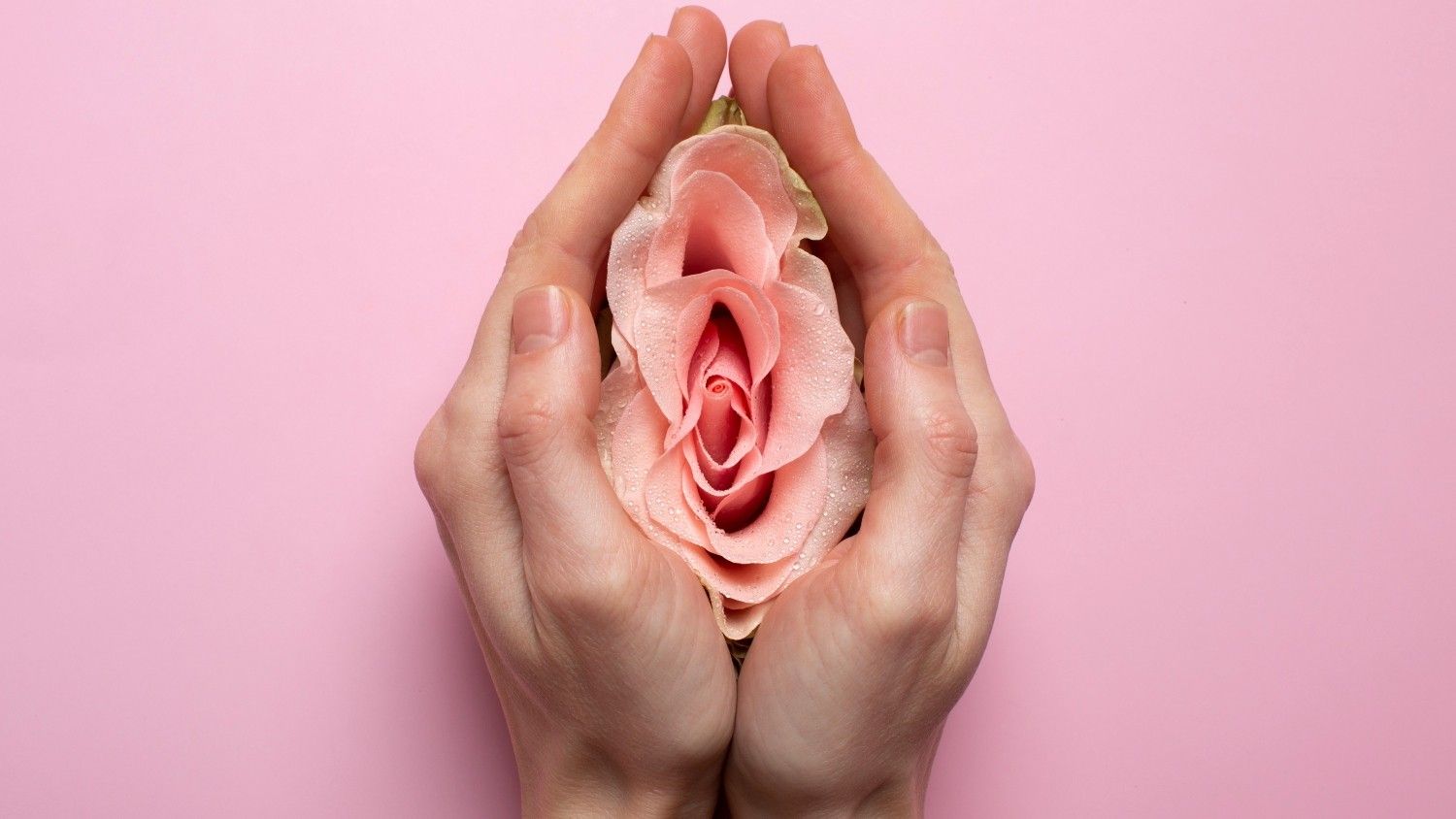 Mulher segura rosa enquanto discute cirurgias íntimas femininas em busca de autoestima e bem-estar. Reprodução: Globo