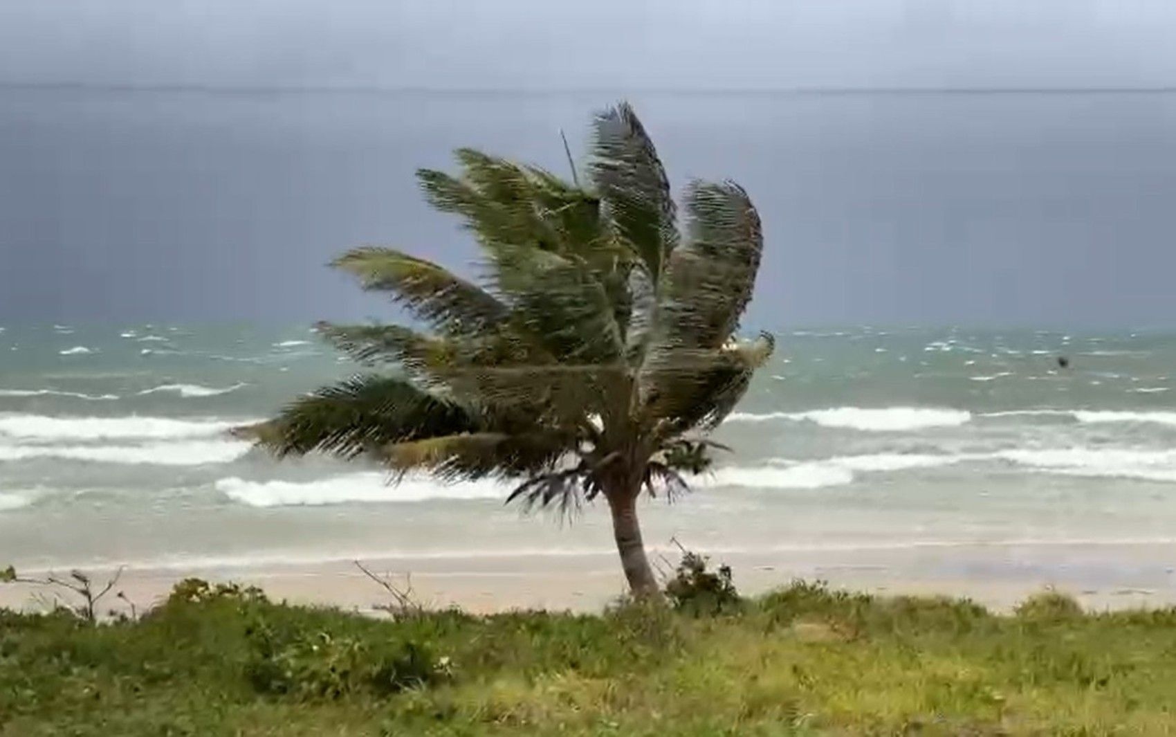 Ventania forte na praia do litoral paulista, com alerta da Marinha sobre ventos de até 75 km/h. Reprodução: Globo