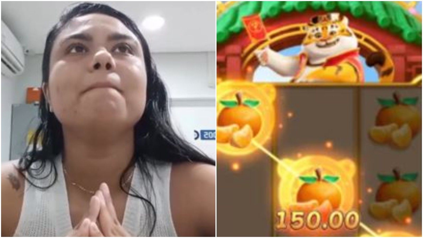 Tigrinho curioso acompanha a história de abstinência do vício em apostas. Reprodução: G1