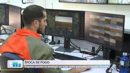 Incêndio atinge três hectares no Parque Roosevelt em Bauru, com suspeita de ação criminosa. Reprodução: Globo